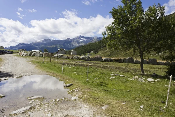 Bergsstig i Madesimo dalens på sommaren — Stockfoto