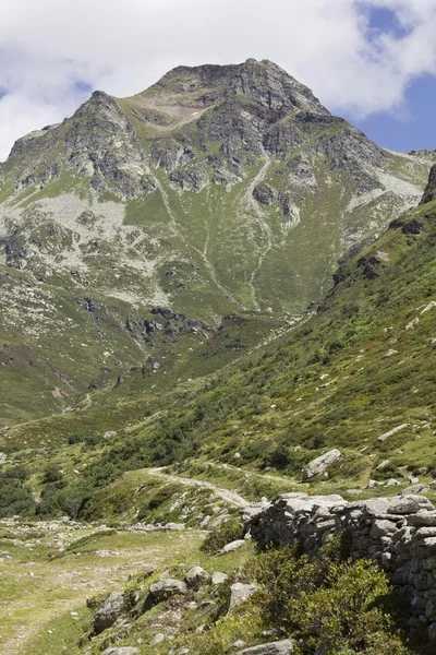 Montanha no verão, paisagem pacífica — Fotografia de Stock