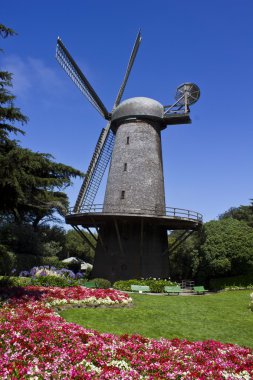 San Francisco Hollanda Yeldeğirmeni