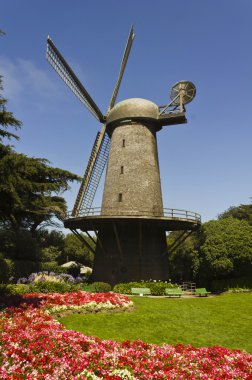 San Francisco Hollanda Yeldeğirmeni