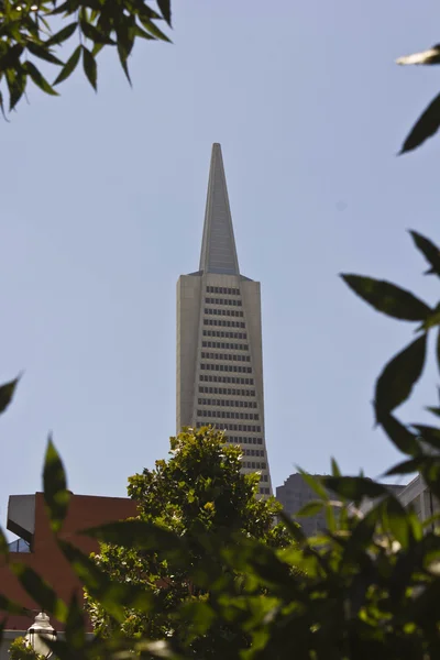 Η Transamerica Pyramid, San Francisco — Φωτογραφία Αρχείου