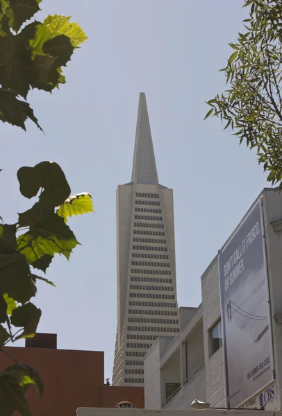 Η Transamerica Pyramid, San Francisco — Φωτογραφία Αρχείου