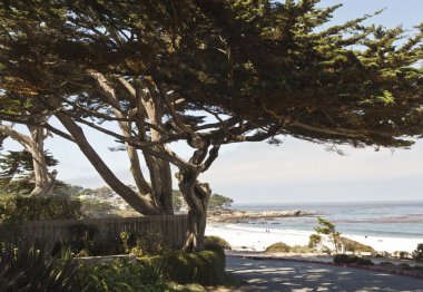 Carmel deniz Beach California tarafından