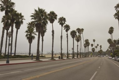 Santa Barbara, Kaliforniya. Ana cadde boyunca onun avuç içi ile Sahil görünümünü