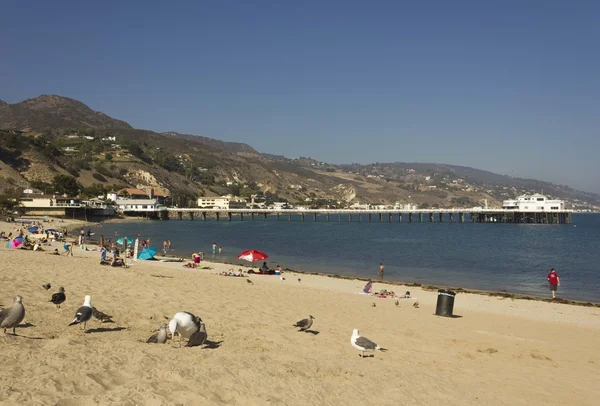 Mensen ontspannen op Malibu beach — Stockfoto