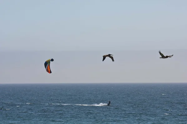 Kite Surfing in the Pacific Ocean — Stock Photo, Image