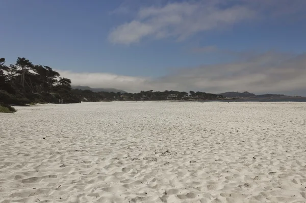 Carmel by the Sea Beach in California — Stock Photo, Image