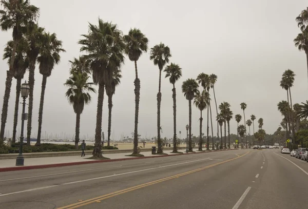 Santa Barbara, California. View of the main street along the coast with its palms — Stock Photo, Image