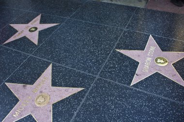 Hollywood walk of fame yıldız