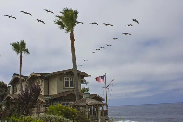 Kudde van vogels vliegen over een huis met de America's vlag — Stockfoto