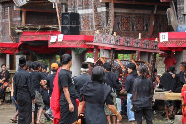 Grup kurmak bir cenaze töreni için iş yerinde Torajan insan