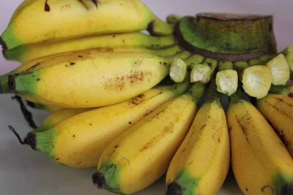 Feche de um ramo de banana começado — Fotografia de Stock