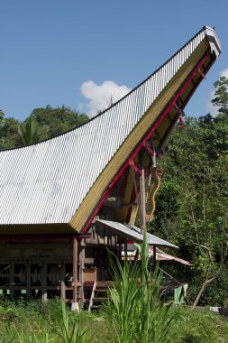 Tipik bir Torajan evleri mimari kadar kapatın