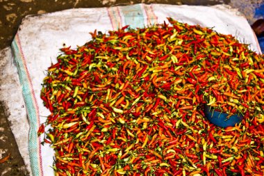 çok renkli serin biber