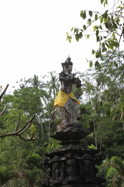 Indonesian statue through nature — Stock Photo, Image
