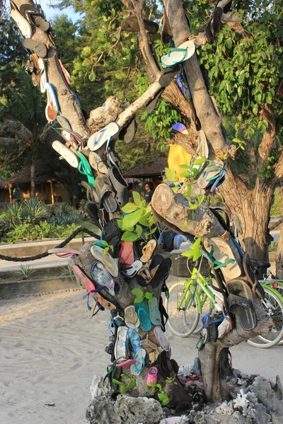 Flip Flops atârnat pe un copac — Fotografie, imagine de stoc