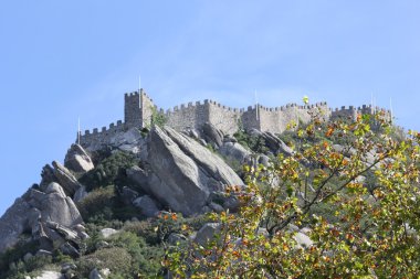 Sintra Moors Castle