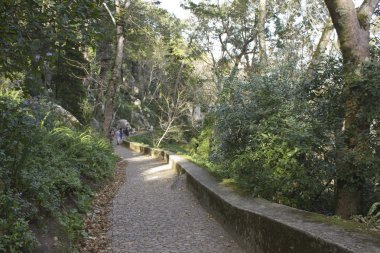 Sintra kalede Moors gitmek için yol