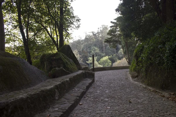 Der Weg zur Moorburg — Stockfoto