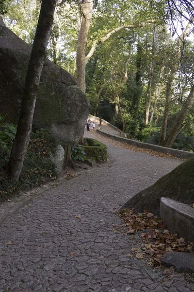 Ścieżki, aby przejść do zamku Maurów w Sintra — Zdjęcie stockowe