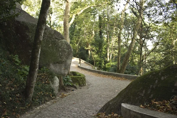 O caminho a percorrer para o Castelo dos Mouros em Sintra — Fotografia de Stock