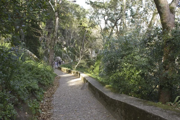 El camino para ir al Castillo de los Moros en Sintra — Foto de Stock