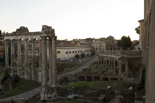 View from the top of the Roman Forum — Stock Photo, Image