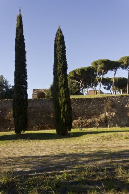 Via di San Gregorio Roma'daki Palatine tepeden bakış