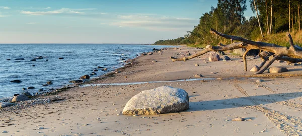 Kamienista plaża morze Bałtyckie — Zdjęcie stockowe