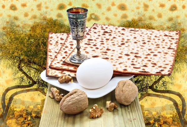 Traditional food and drink for Jewish Passover — Foto de Stock