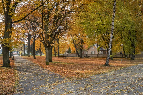 Осінь у Центрального громадського парку Юрмала, Латвія — стокове фото