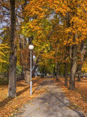 Sonbahar genel merkez Park'taki Jurmala, Letonya
