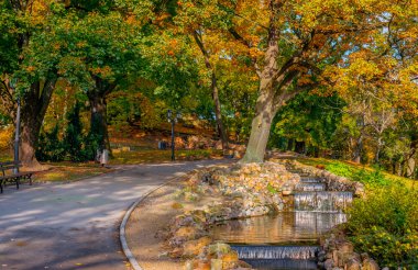 Sonbahar Riga Merkez genel park 