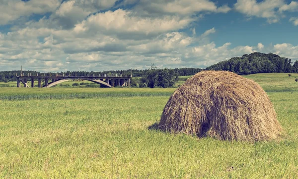 Foin Solitaire Dans Domaine Agricole Tourisme Écologique Lettonie Europe — Photo