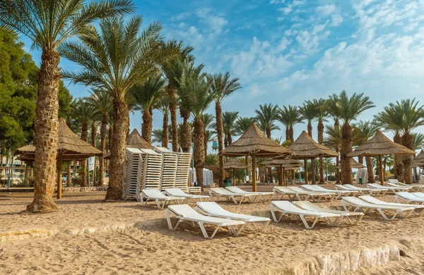 Eilat içinde merkezi halk plajı, rahatlatıcı bir atmosfer 