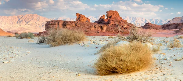 Скель в геологічних Timna парку, Ізраїль — стокове фото