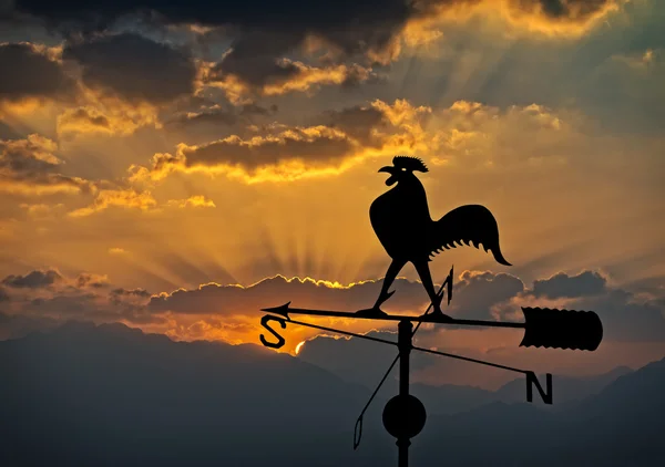 Metalik horoz ile Rüzgar gülü silüeti