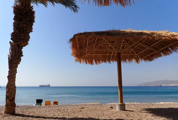 Orta Doğu Kızıldeniz Deki Halk Kumlu Plajı — Stok fotoğraf