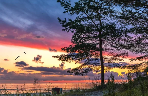 Paars Roze Zonsondergang Hemel Aan Strand Zeewater — Stockfoto