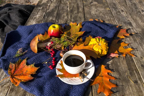 Herbstblätter Und Kaffeetasse Essbarer Steinpilz Zierkürbis Und Roter Apfel Auf — Stockfoto