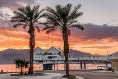 Dağların üzerinde renkli bir gün doğumu ve Orta Doğu 'daki palmiyeler arasında gezinen bir halk plajı.