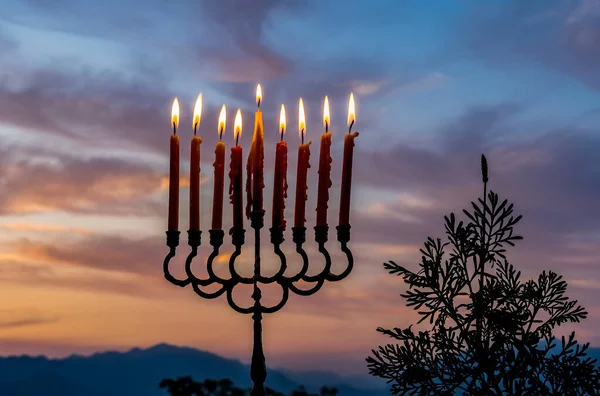 므노라에 촛불을 밝히는 유대인 하누카의 휴일을 전통적 상징이다 선택적으로 양초에 — 스톡 사진