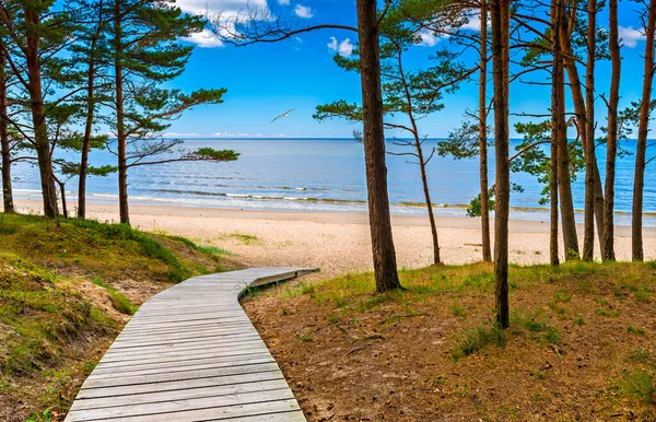 ジュルマラのバルト海の砂浜への松林と砂丘の間の木製の歩道 ラトビアの有名な観光地 — ストック写真