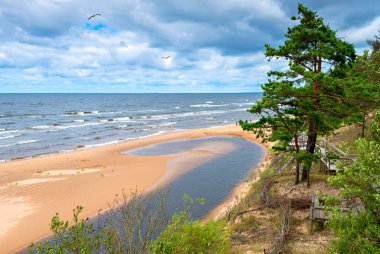 Baltık Denizi 'nin güzel kumlu sahilinde küçük bir nehrin kumsal ve haliçbölgesi.