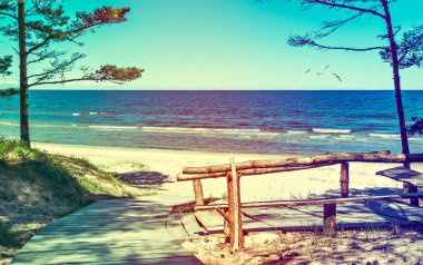 Güneşli bir günde Baltık Denizi 'nin kumlu plajı, Avrupa' nın ekolojik açıdan temiz bölgesinde mutlu, mutlu ve sağlıklı yaz tatili kavramı.