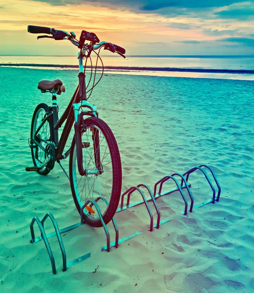 Rower Plaży — Zdjęcie stockowe