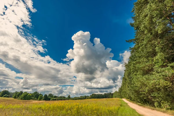 들판과 구름이 하늘이 시골의 — 스톡 사진
