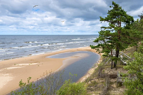 Strumień Przepływa Morza Bałtyckiego Między Piaskami Wydmami Oraz Lasem Sosnowym — Zdjęcie stockowe