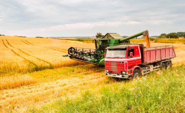Hasat ve rayları birleştirerek Avrupa 'da buğday ve hasat tarlaları üzerinde çalışıyorlar.