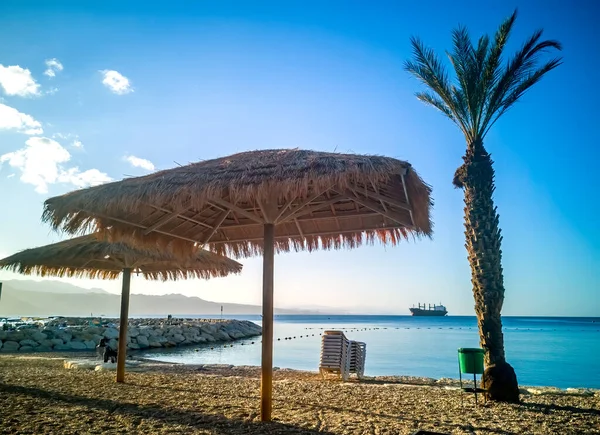 Mattina Sulla Spiaggia Sabbiosa Eilat Sedie Ombrellone Sulla Linea Costiera — Foto Stock